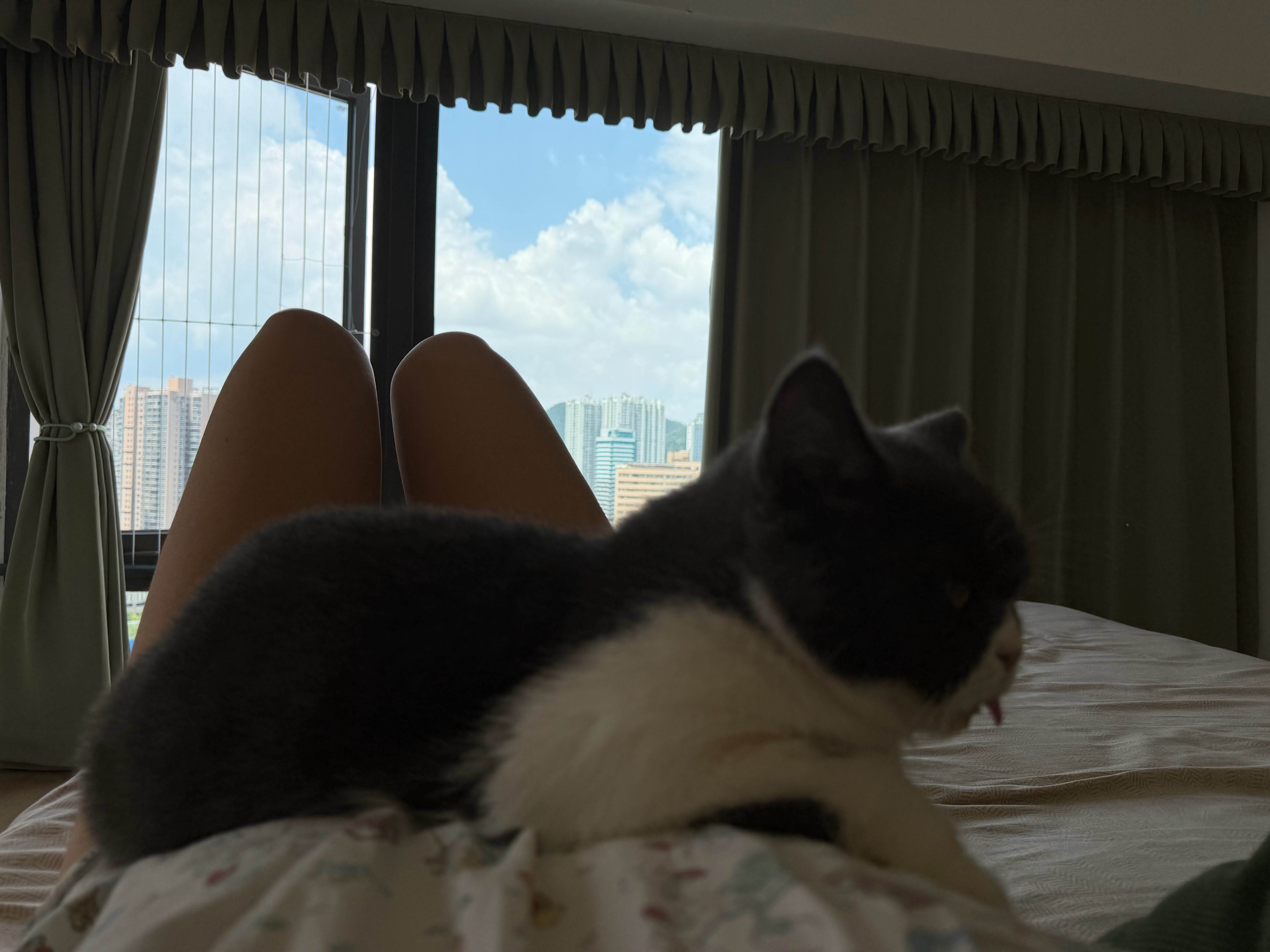 周末午后 
