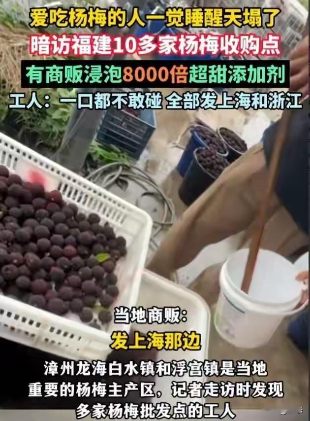 福建问题杨梅曝光后，作为爱吃杨梅的人来说，感觉天要塌了！会不会有这种感觉呢？
