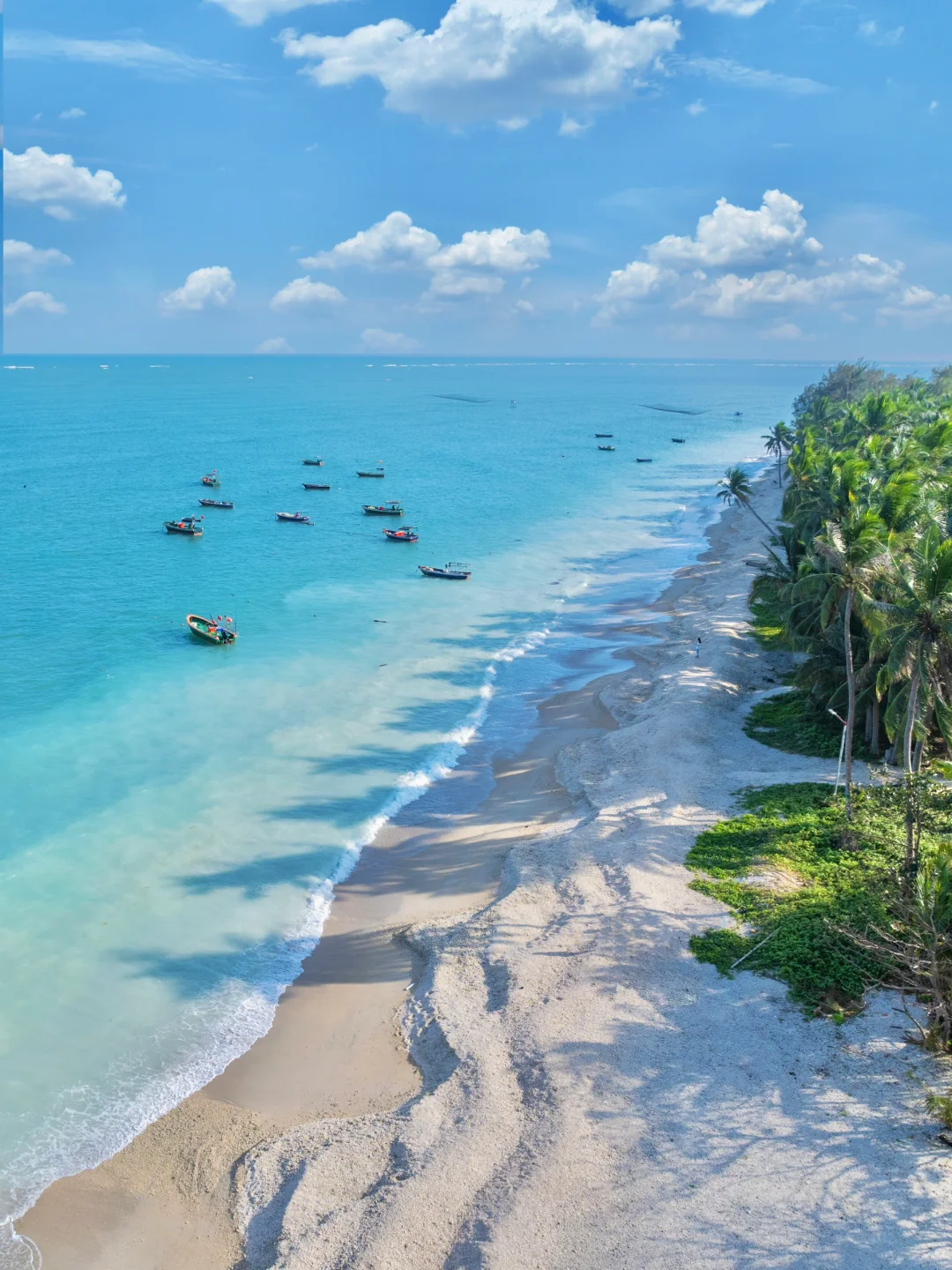 不是国外❗️是海南琼海‼️牛奶海美哭了😭