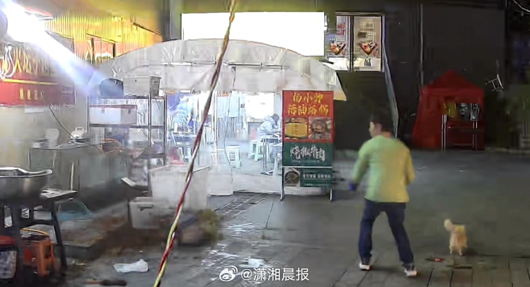 【“流浪猫救我一命！”#烤鱼店老板拿鱼杂喂猫躲过坠落花盆#：如确定猫无主人，我会