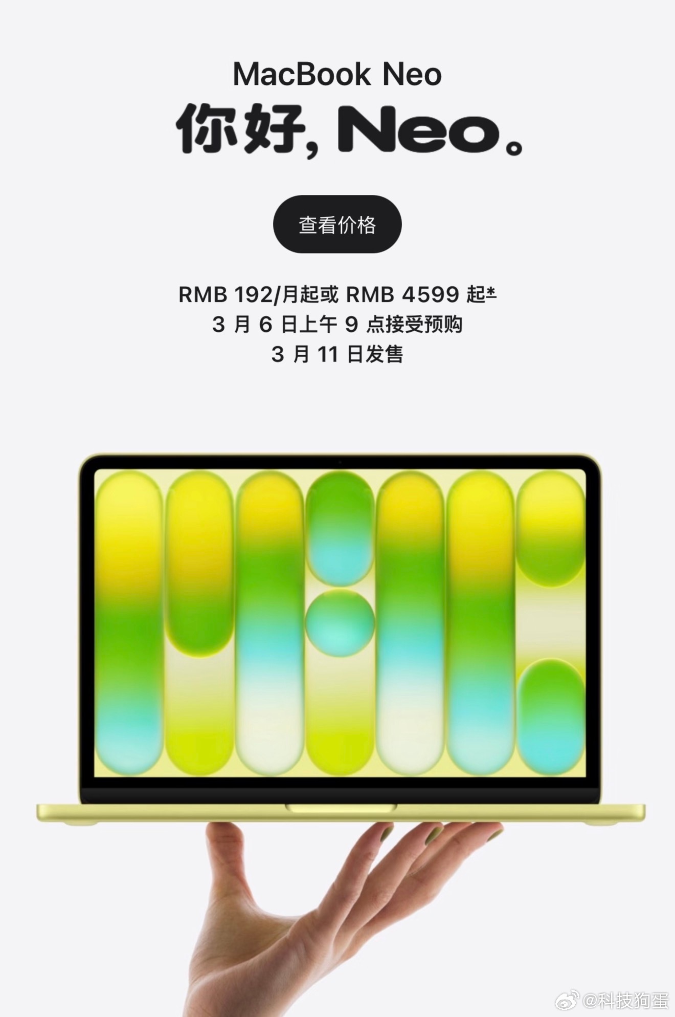 neo是定位卖给国外中学生的，苹果精准刀法又不是一天两天了，说是为学生打造，但这