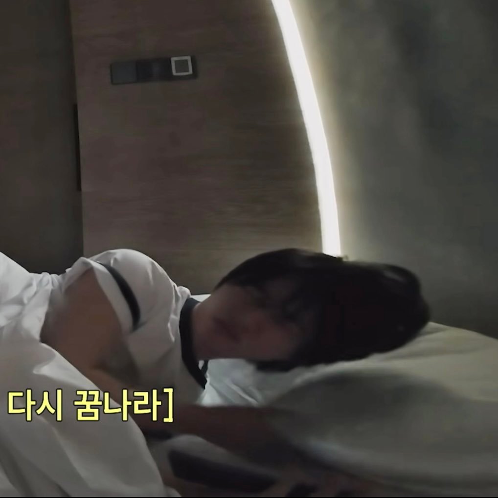 【💤🐶】就让他再睡会儿嘛！ ​​​