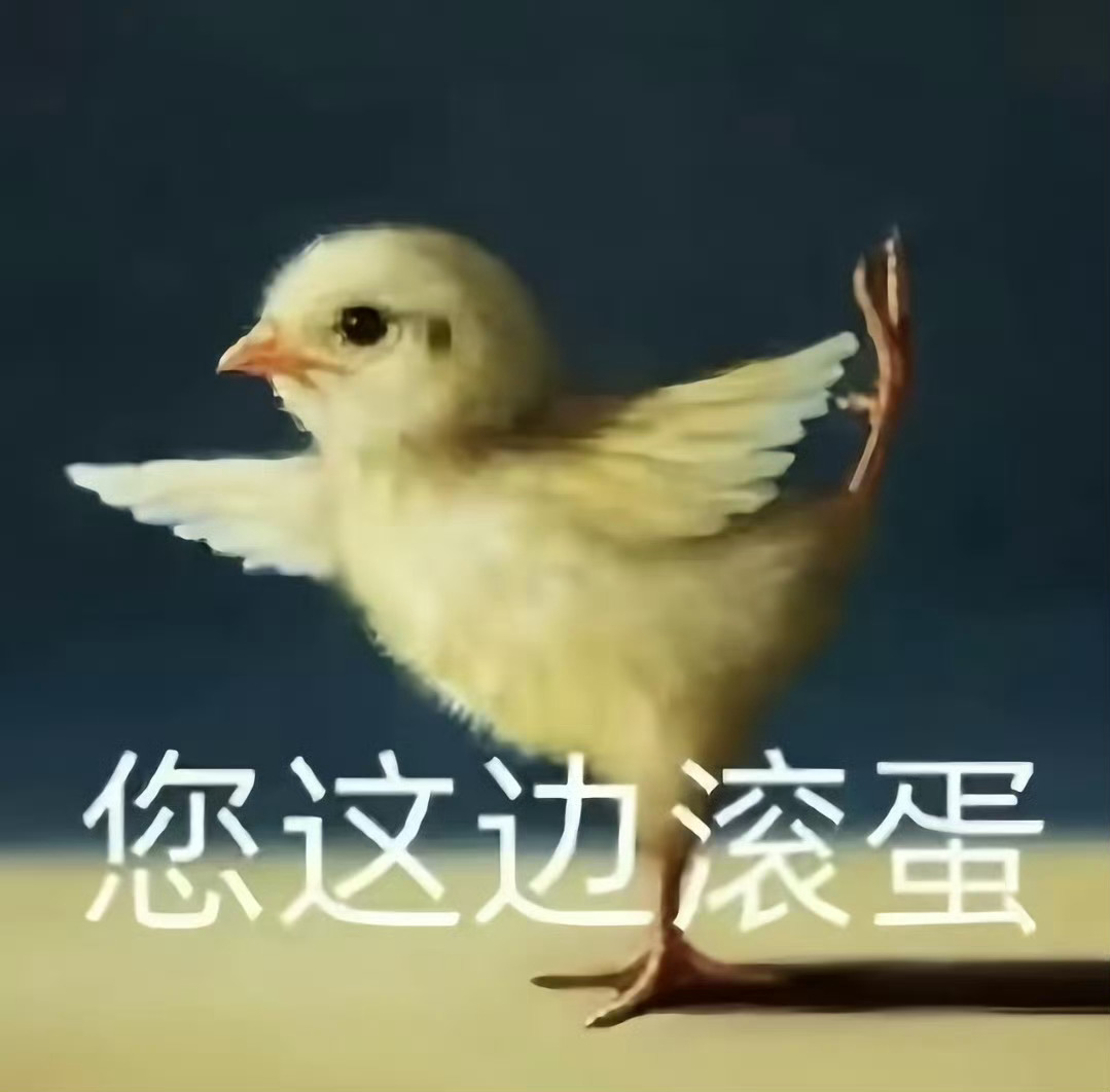 萌鸡小队 
