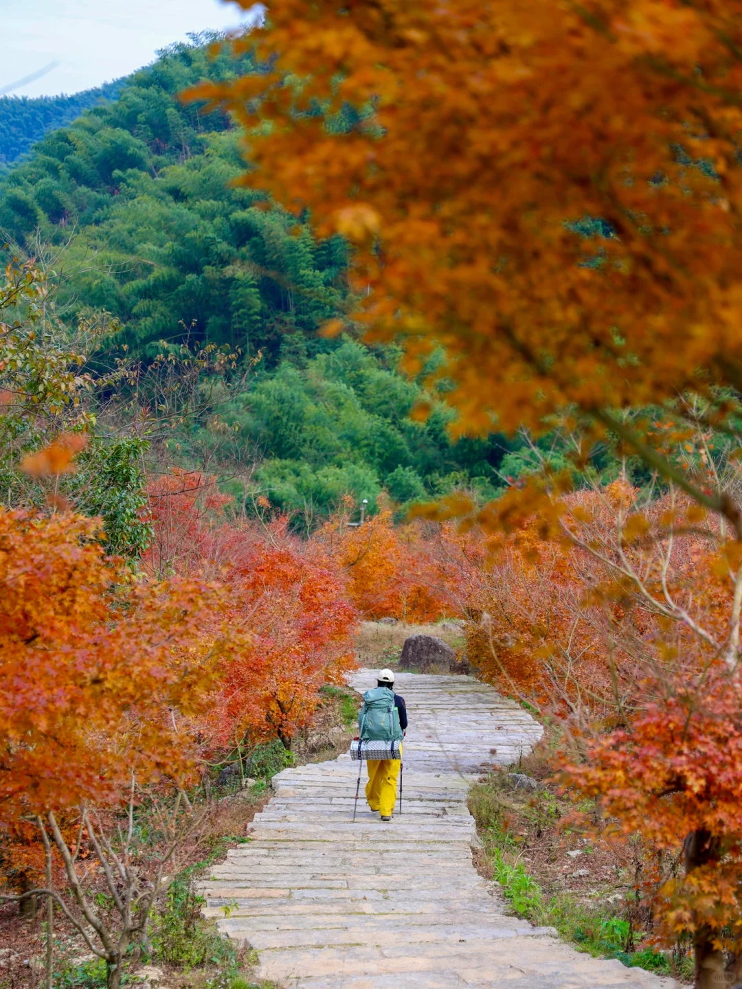 湖南重装｜永州九嶷山·三分石穿香炉石看枫叶