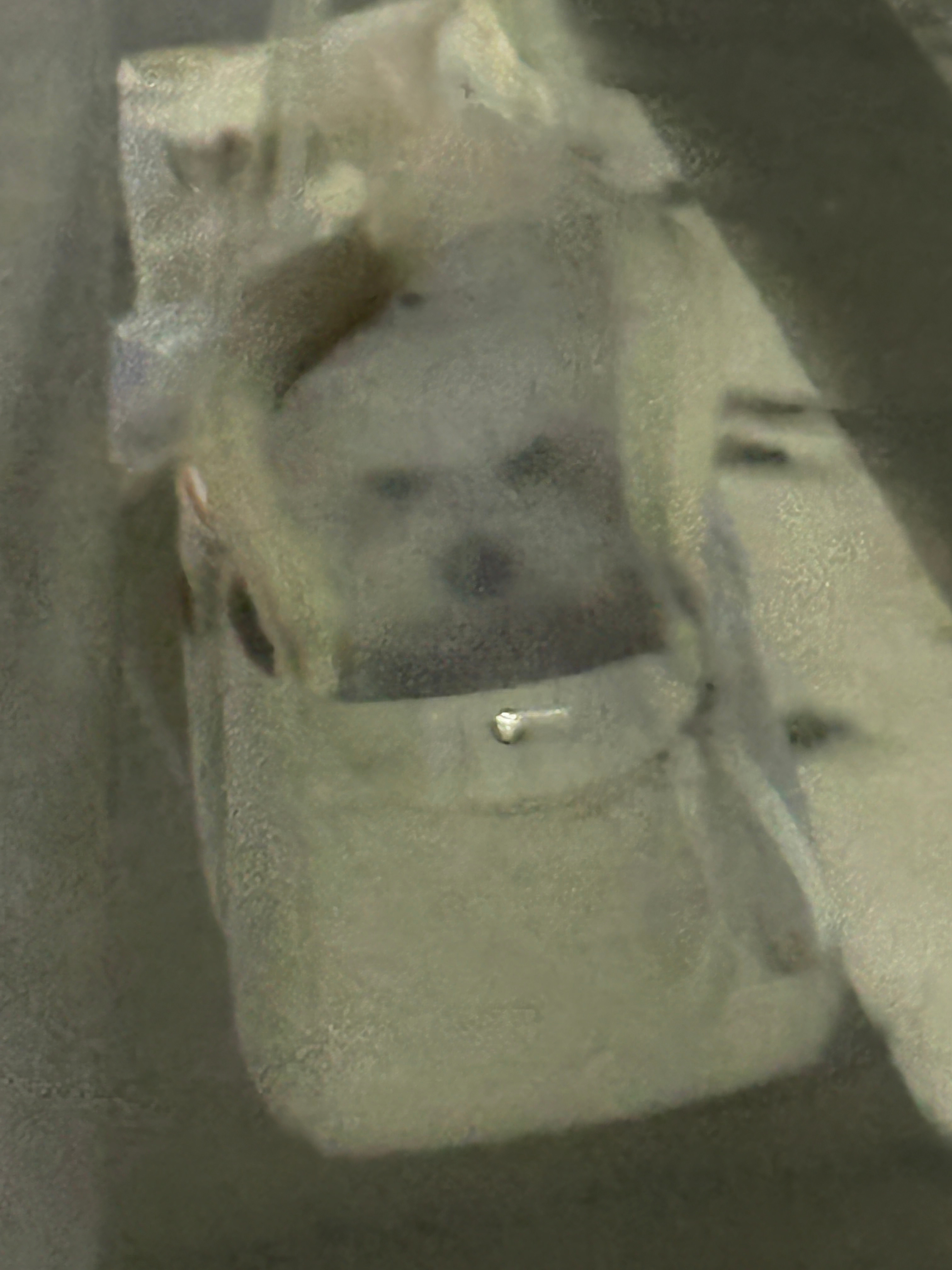 分享图片 ​​​