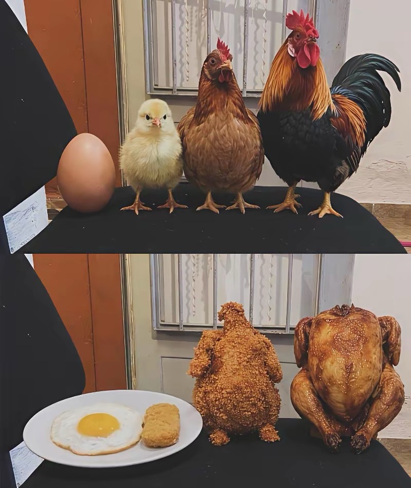 真是一家人整整齐齐呀。