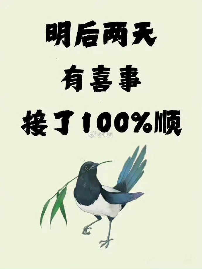 见喜鹊有喜事发生！秒接！  