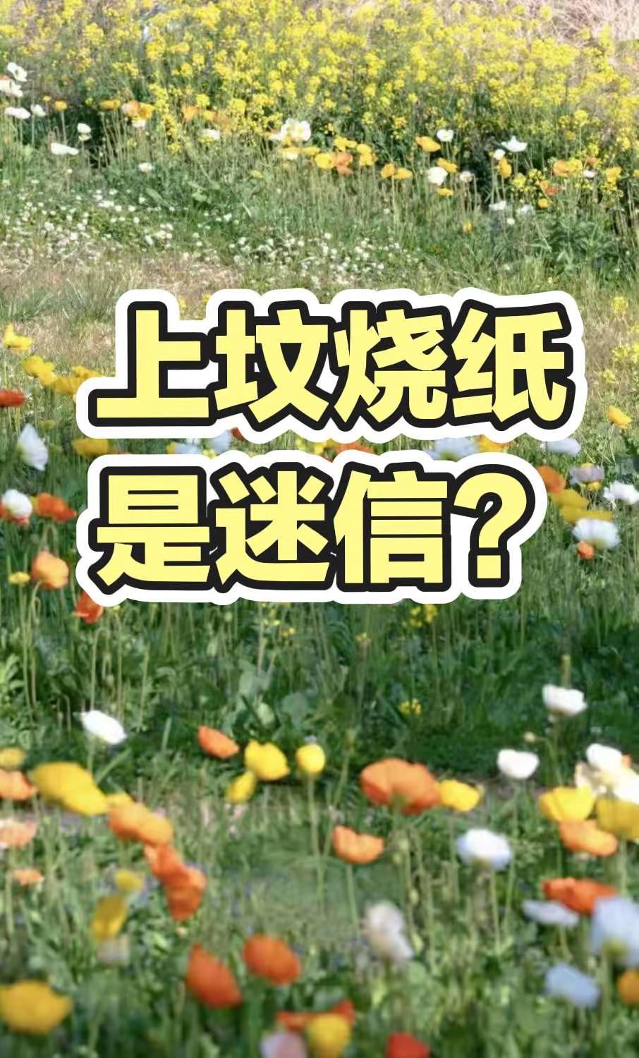 上坟烧纸是迷信？自然之美摄影日记 我用摄影看世界带你走进画里 大自然的美无处不在