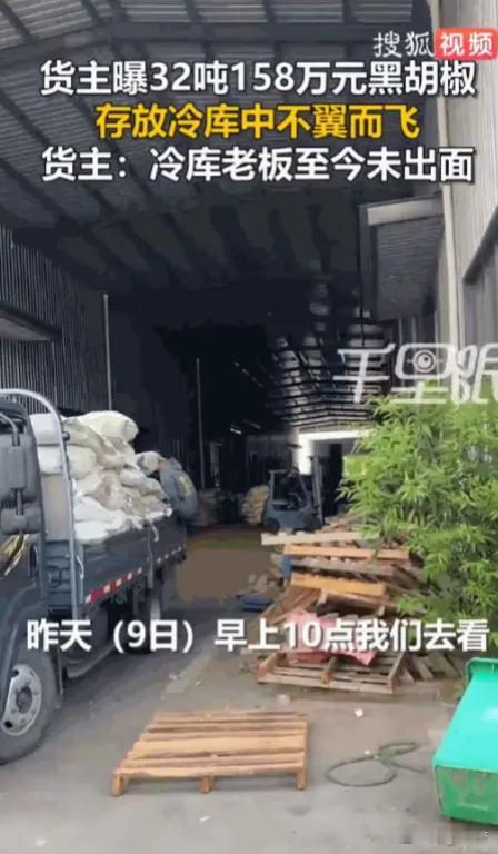 安徽亳州做药材生意的张先生，将价值158万元的黑胡椒存进冷库，谁知前几天去验货，