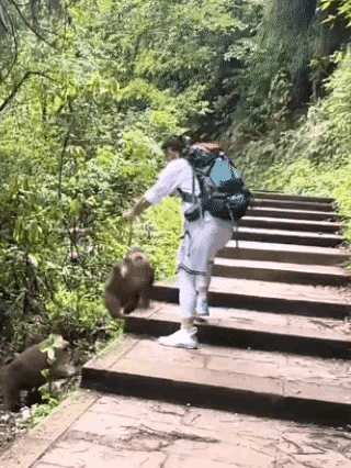 他做了好多人都不敢做的事情