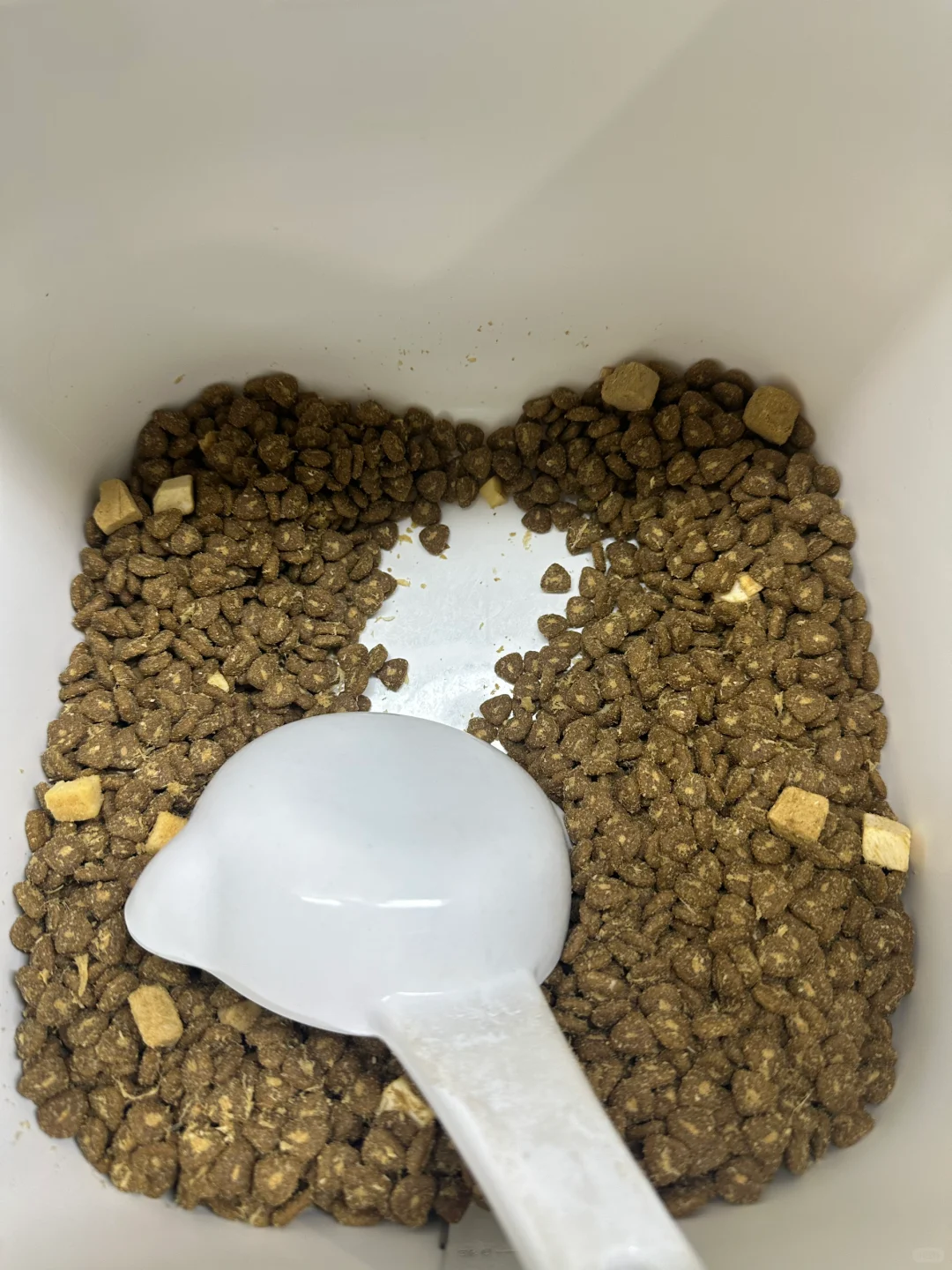 狗粮马上又空一桶