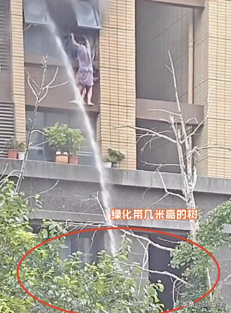 连云港火灾致母女坠楼一死一伤，消防被骂“只喷水不救人”，九派点评：“情绪可以理解