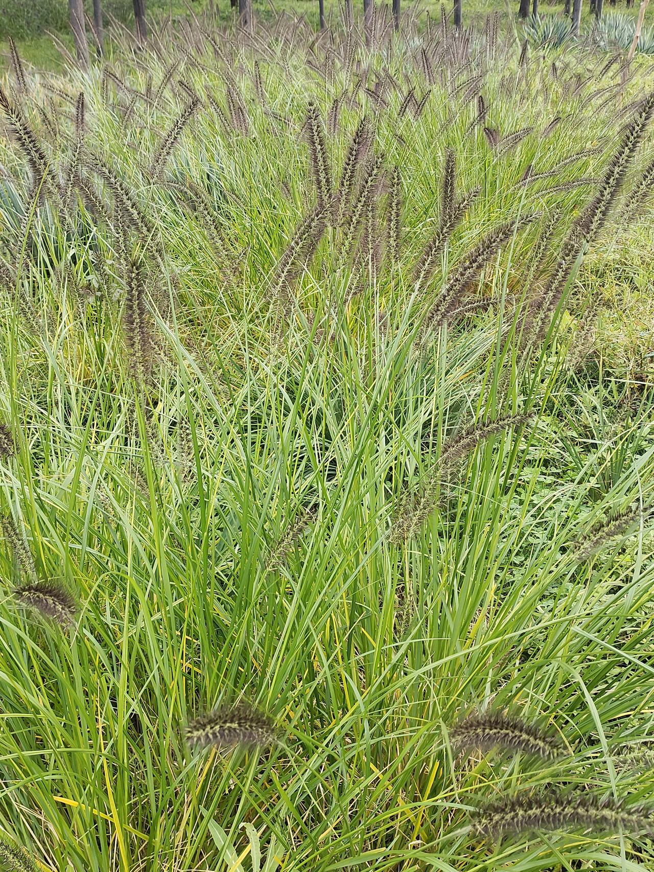 秋日生活打卡季