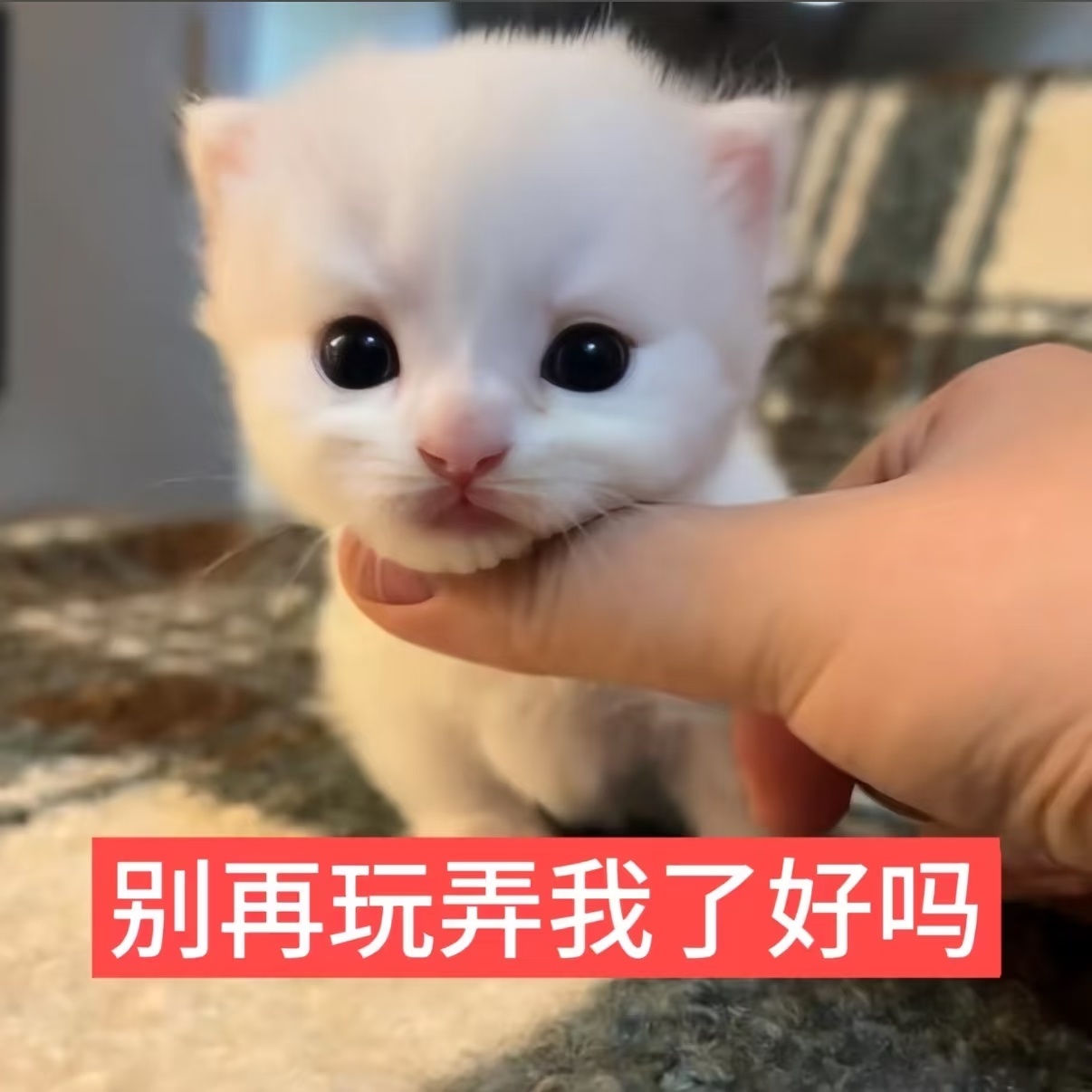 一直以为老天对我睁一只眼闭一只眼是溺爱 没想到是在架狙 