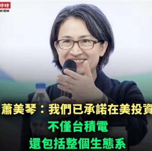 台湾扩大在美国的芯片投资，
包括台积电在内的整个生态都将参与在美国的芯片投资，看
