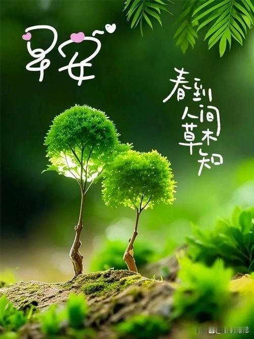 不会
不是因为价格
也不是因为爱国
没那么高大上
就是习惯
华为用久了
习惯了