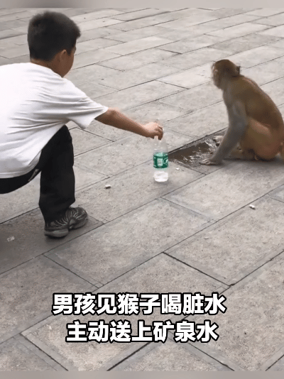 孩童善意！男孩见猴子喝脏水，主动送上矿泉水
 
太治愈！一个孩子小小的举动，尽显