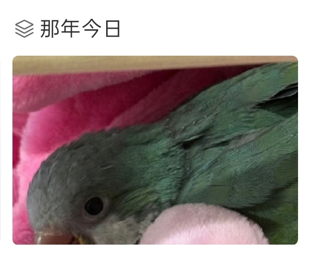 我甚至不敢点进去看去年的今天我发了什么大孙孙