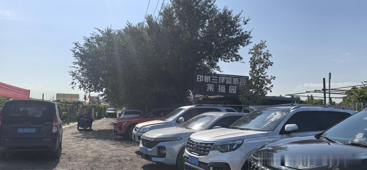 昨天周末和朋友一起去三坪农场采摘园，没想到这么热的天，人还挺多的，地址离市区20