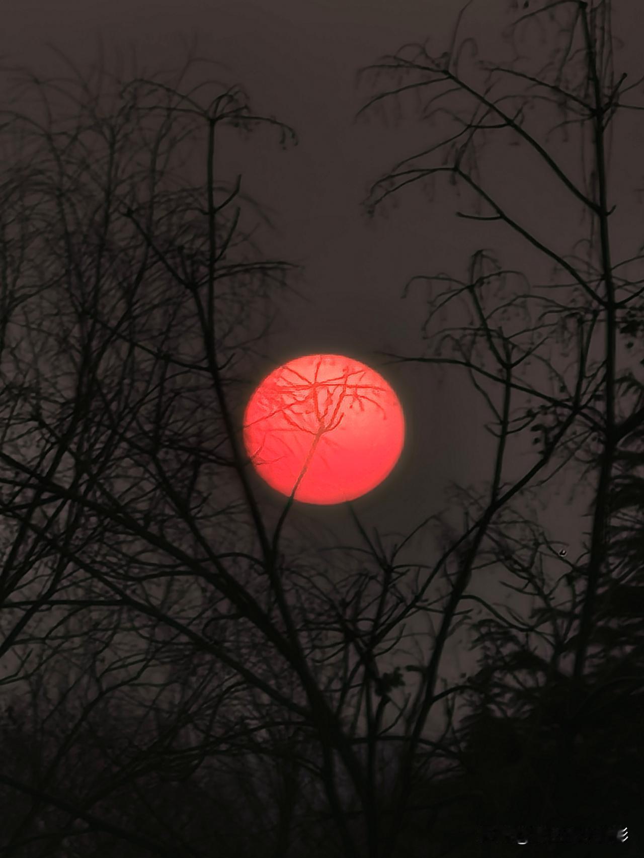 今天的太阳下山了

1月2日傍晚，河南洛阳远到近，由大到小。慢慢的落到了电线杆上