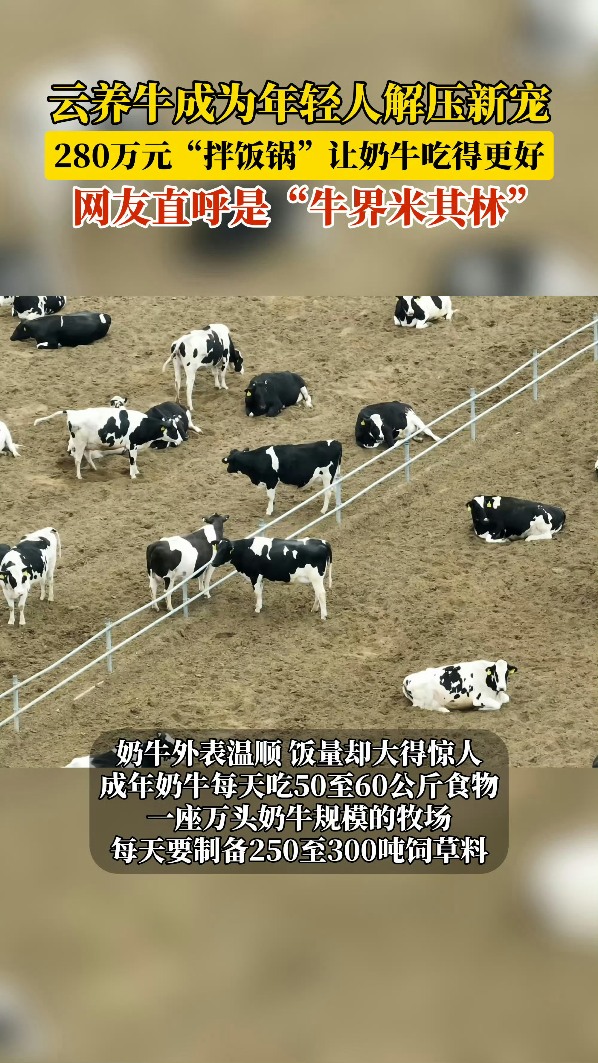 1台奶牛拌饭车能买1套房原来奶牛也有专属营养餐！这台“拌饭车”造价堪比一套住房，
