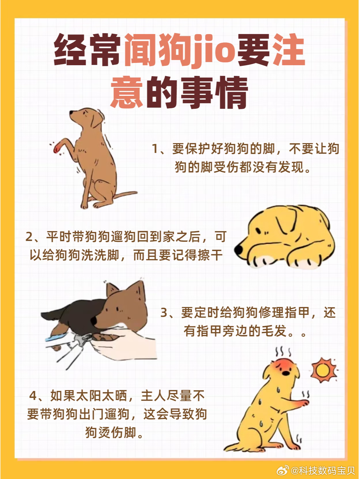 当小猫闻了一下柴犬的脚哈哈养狗的人才懂！你说臭吧 确实不香 但你说不香吧 又老想