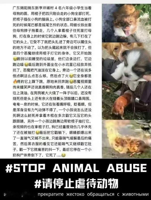 杜江发声 太心痛了，请停止虐待动物❗️❗️它们的痛苦不该被忽视❗️❗️❗️ 