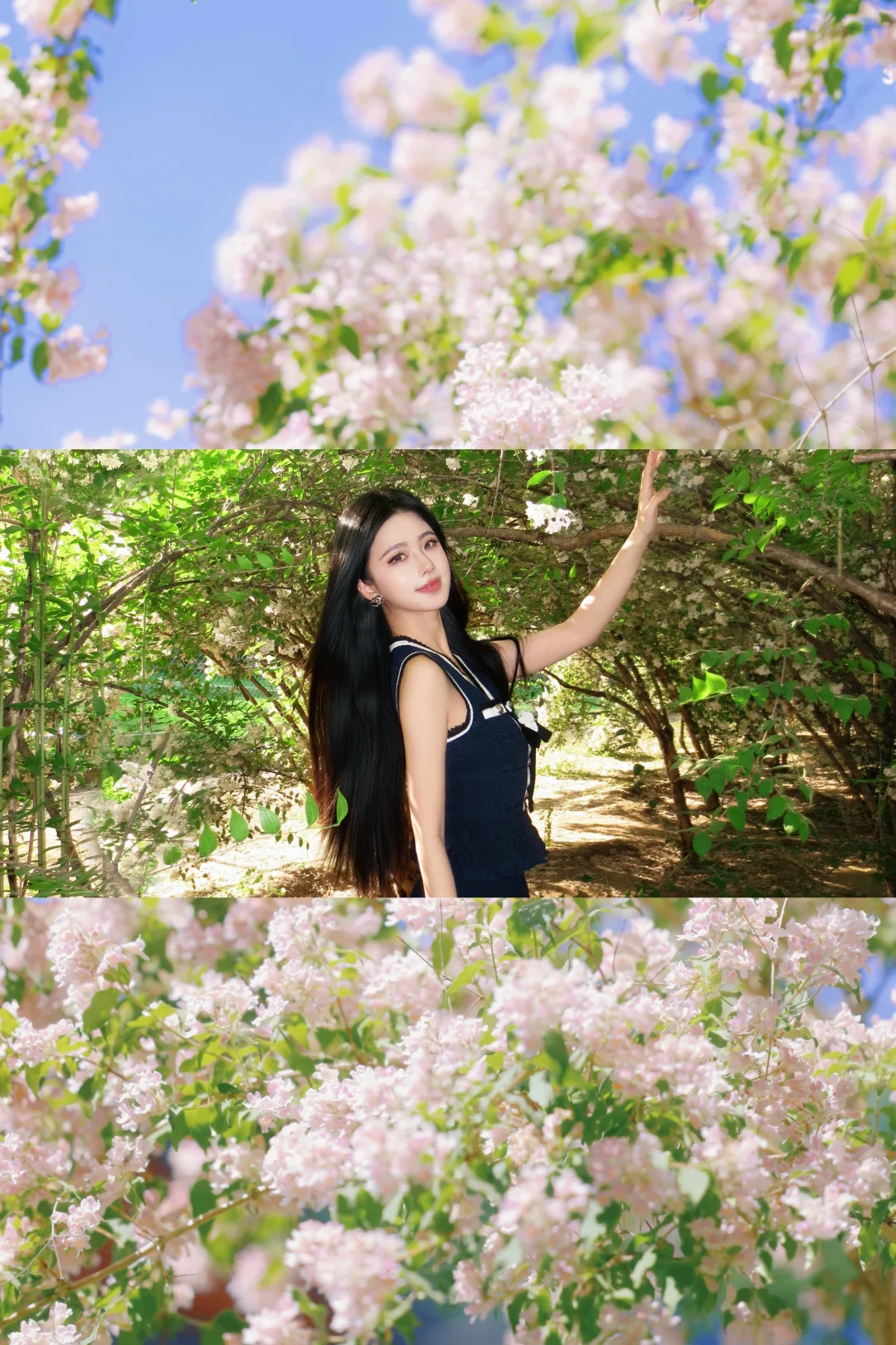 🌸💚🍏🫧公园光合作用