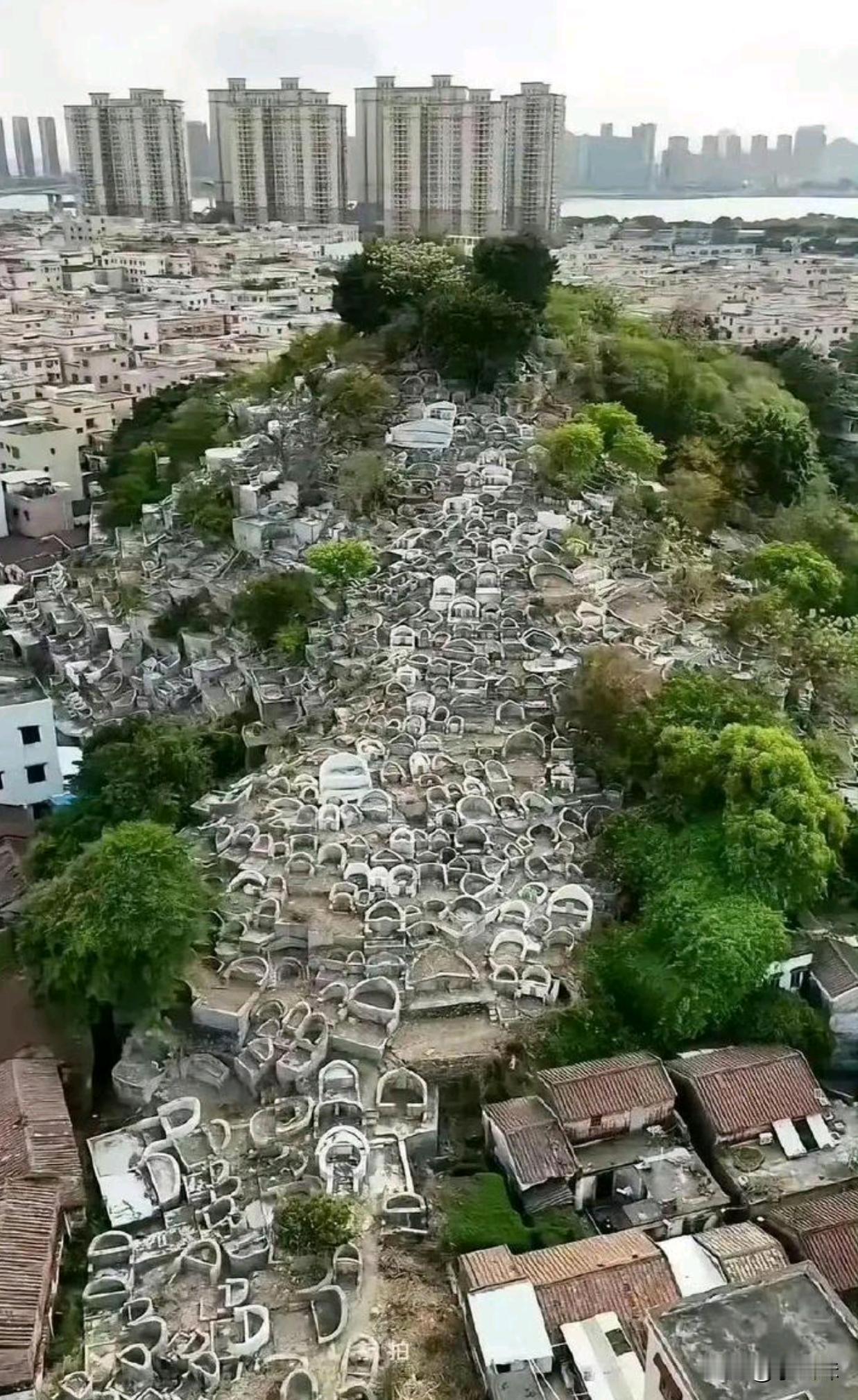 这就是为什么城里都要提倡火葬