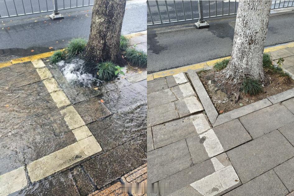 宁波这处人行道冒水点彻底修复不渗水 宁波海曙薛家南路一处人行道曾因冒水问题遭居民