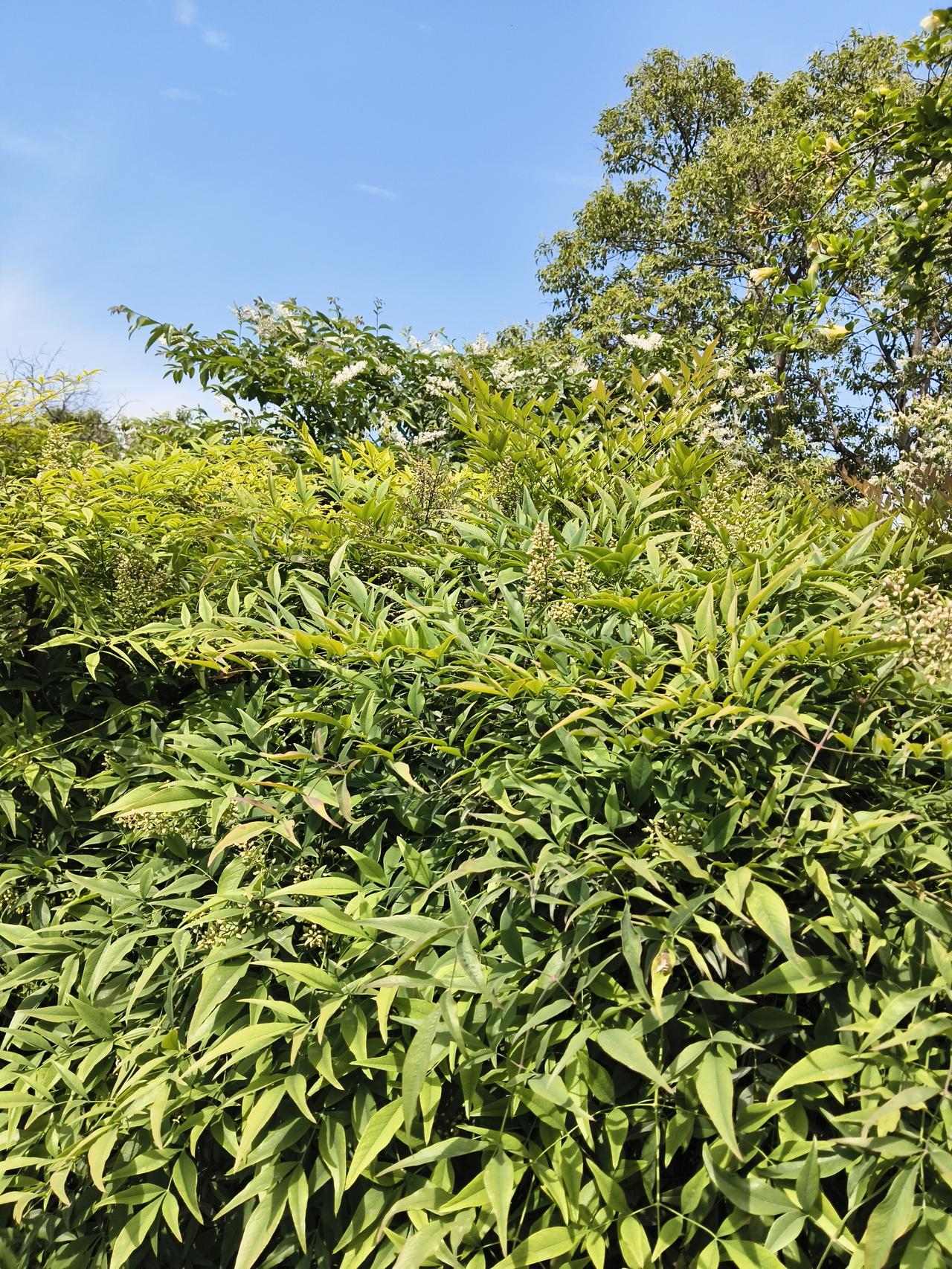 真心话茶局感觉到了吧？孩子大了，家长就少插嘴，让他自己成长，不过仍然是想让他活的