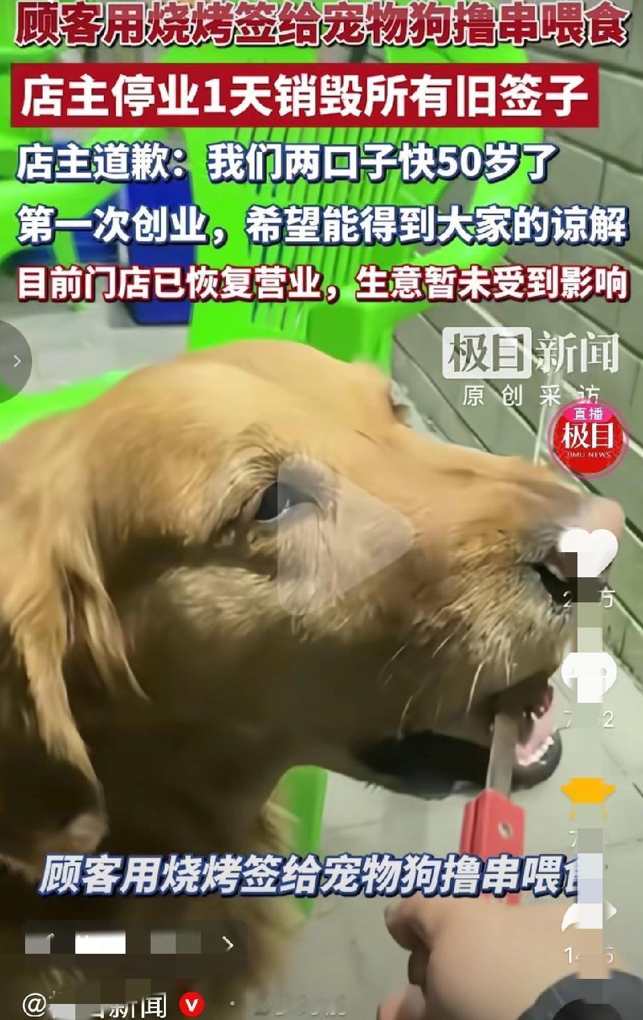 太坑人了！内蒙古赤峰，一位顾客带宠物狗去烧烤店吃饭，期间给狗子撸串喂食，还拍下视