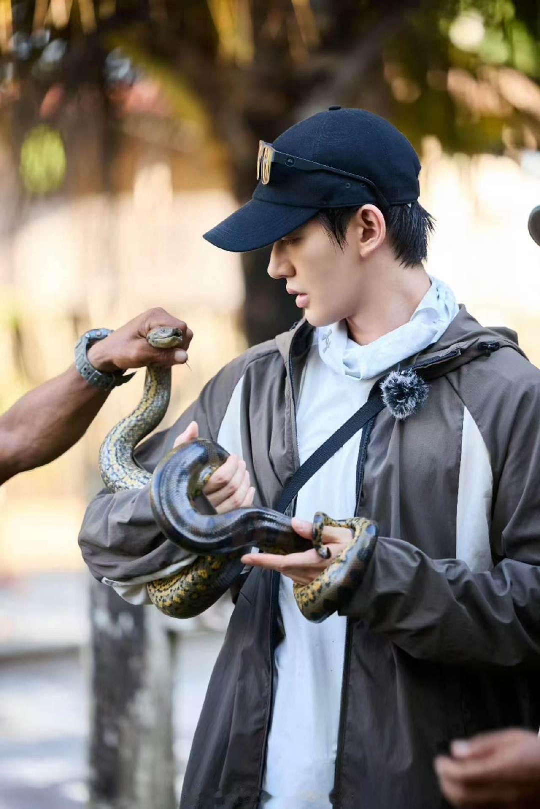 邓为花少抓蛇路透邓为花少亚马逊抓蛇花絮 邓为你好勇！直接徒手拿🐍 邓为