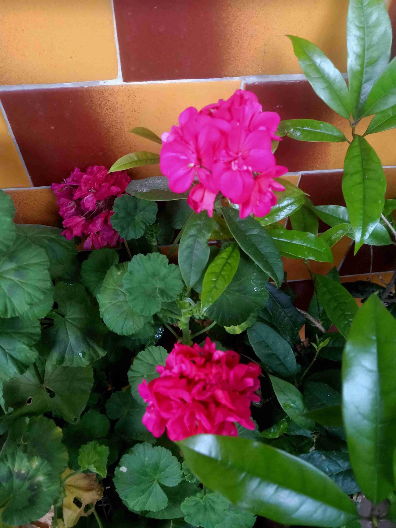 我的今日状态：🏝️旅行度假
我这里的天气：🌤️多云