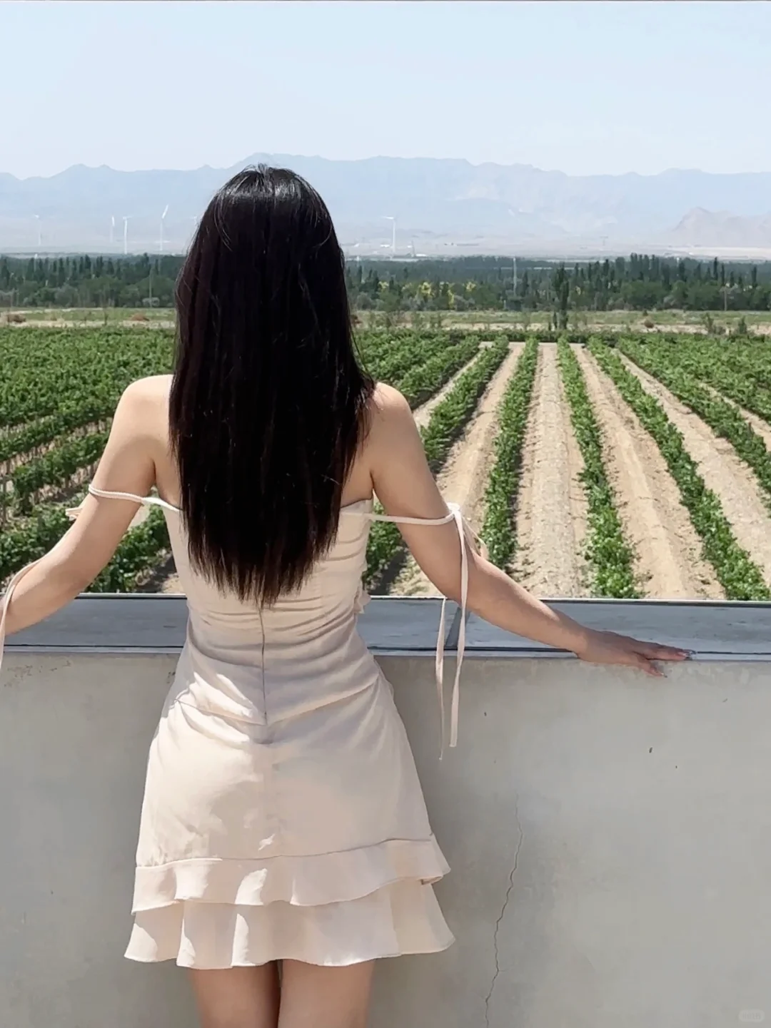 重生之在宁夏 扮演紫菱 带你们逛我的酒庄