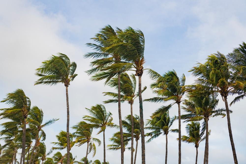 寒潮来袭！多地气温创下半年新低，雨雪大风齐至
 
12月10日-13日，新一轮寒