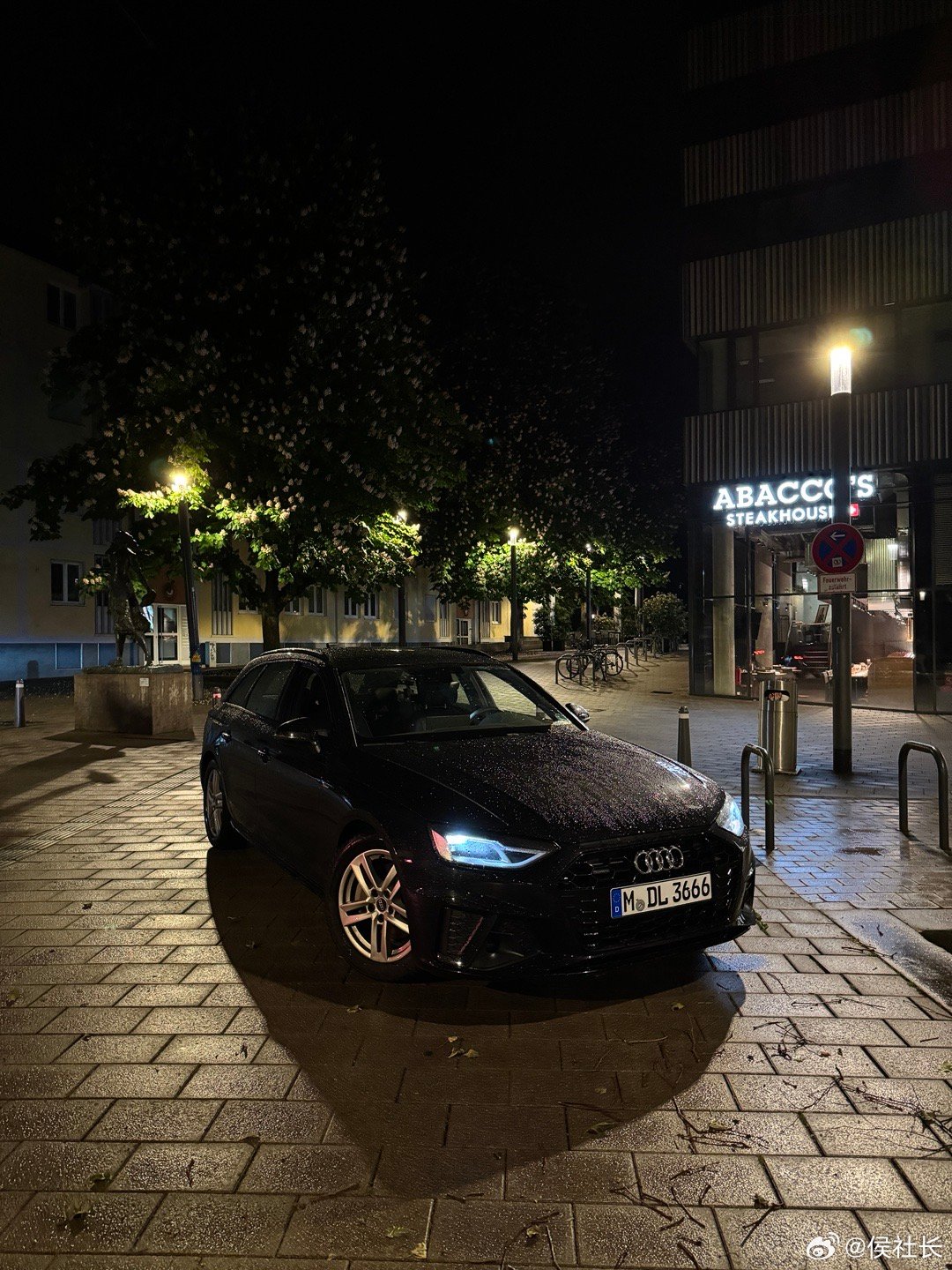 柴油的话题还有点热度，比较意外。我的主体讲的是老欧洲，这一点很重要，不是其他国家