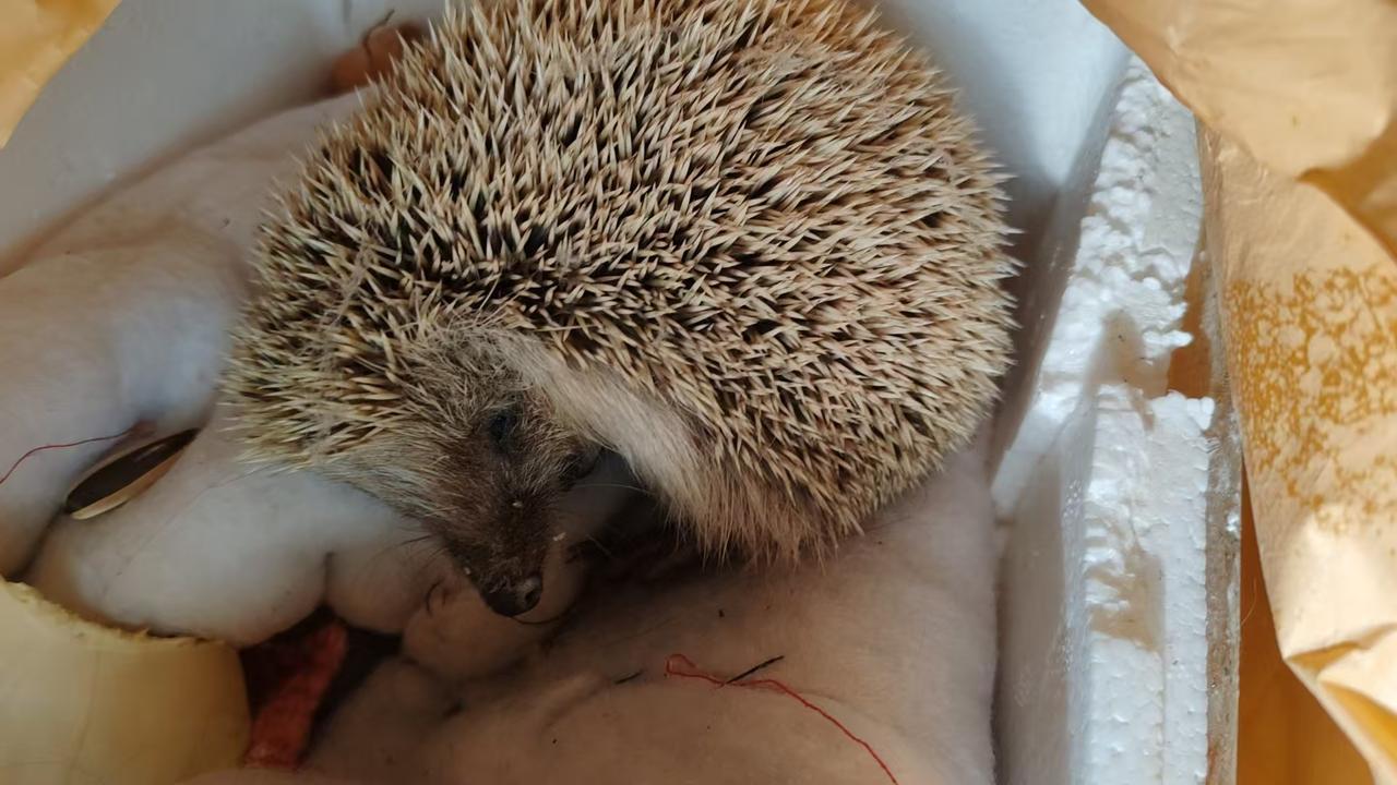 随手拍下生活见闻