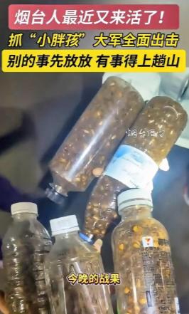 谁能想到，大半夜的山东烟台，一群人不睡觉，开着私家车把荒郊野岭的山脚围了个水泄不