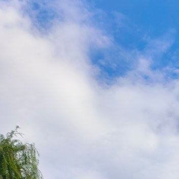 每日一善[超话]🍒阳光信用🍒每日一善人最大的对手，往往不是别人，而是自己的懒