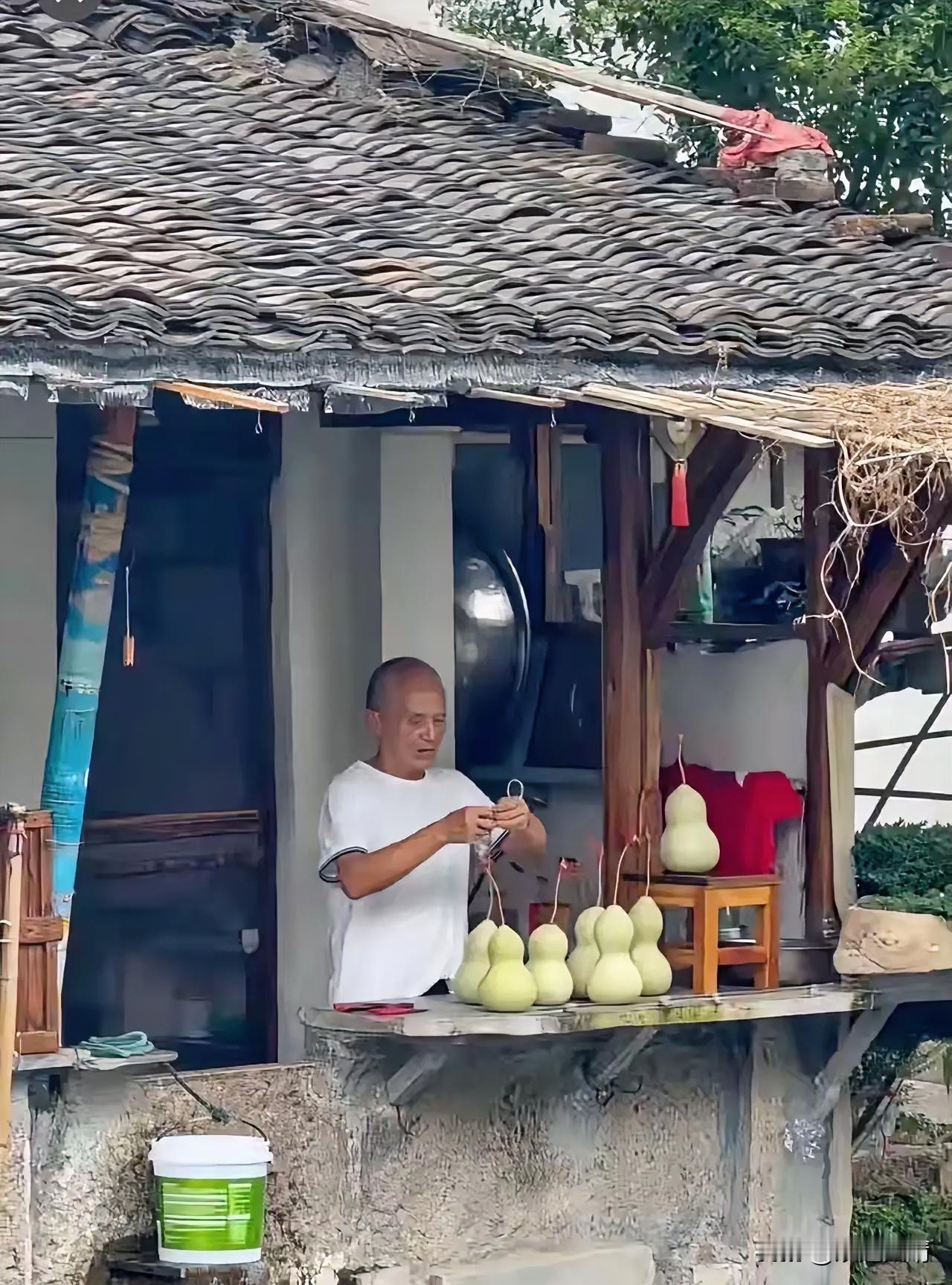 隔壁店铺老板买了假葫芦挂在门口蹭热度，这事我不意外，
可实在让人想不通的是，葫芦