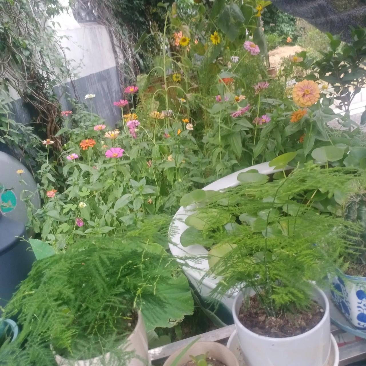 美国想打委国，没那么简单，他要先掂量这三方的反应，再做决定。其中的一方已亮明态度