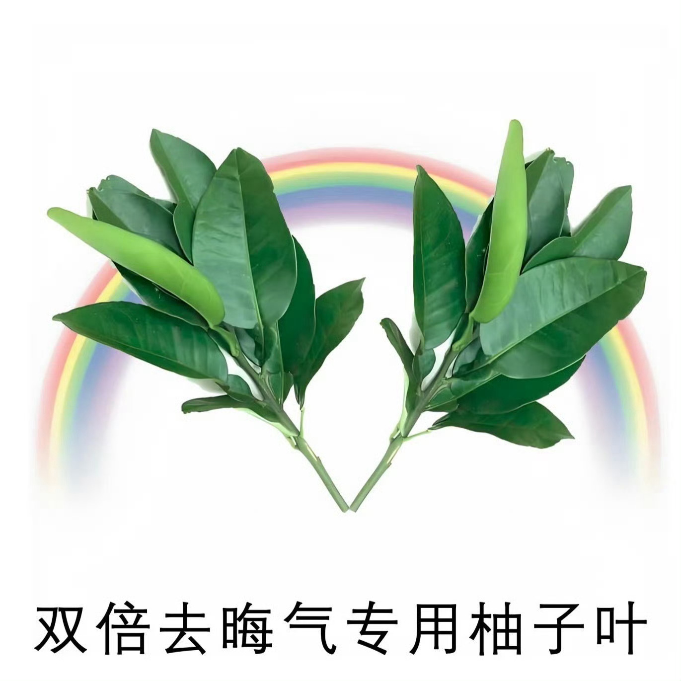 过去7天更了300+微博，感恩没闲刷屏哈🍎抽5位喝🥛最后祝我有票你有票人人都
