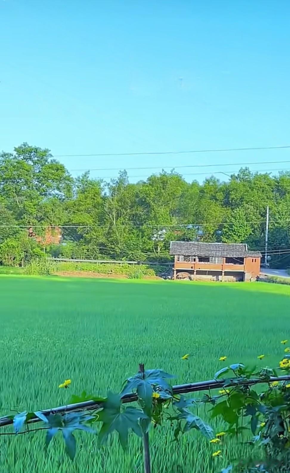 我必须得分享我拍的乡村美景照。画面里，小山温柔地围绕着一小幢房子，就像给它披上了
