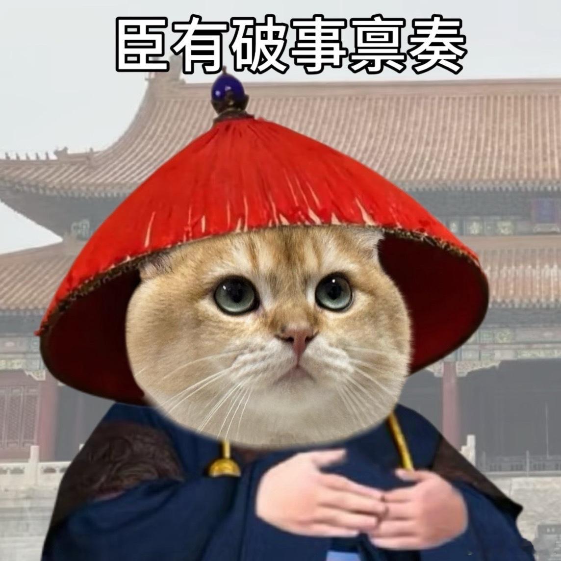 鹿哈官宣得女有几个跟我一样的以为是鹿晗点进来的