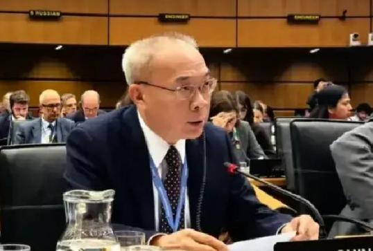 中国常驻国际原子能机构代表团突然宣布了，据媒体报道，在维也纳的理事会会上就日本长