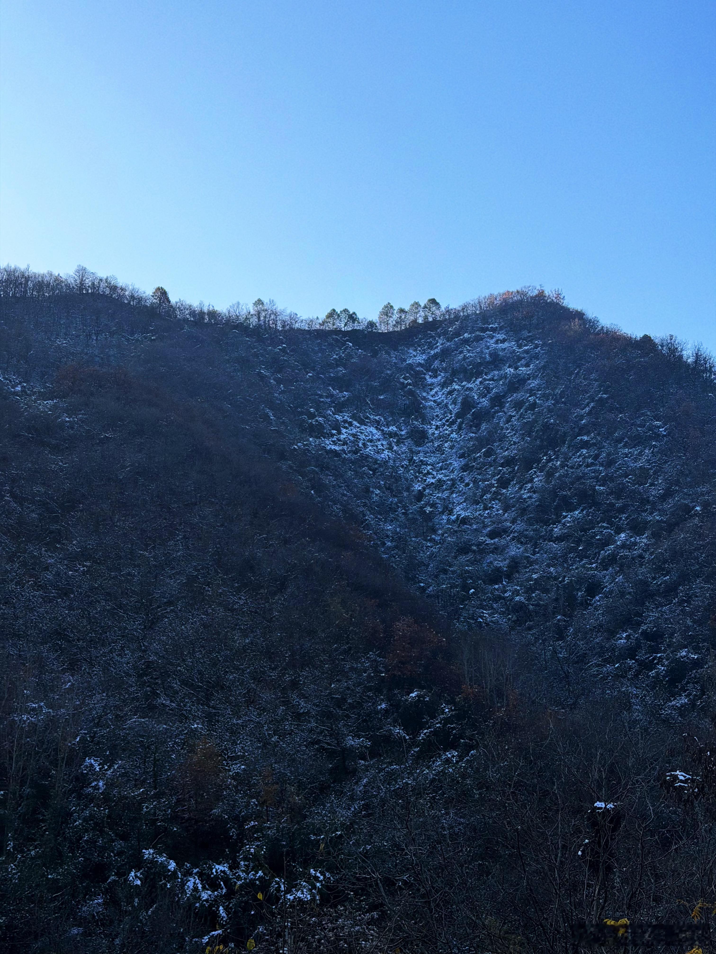 2025年的第一场雪在陕西摸到了见者都好运连连 