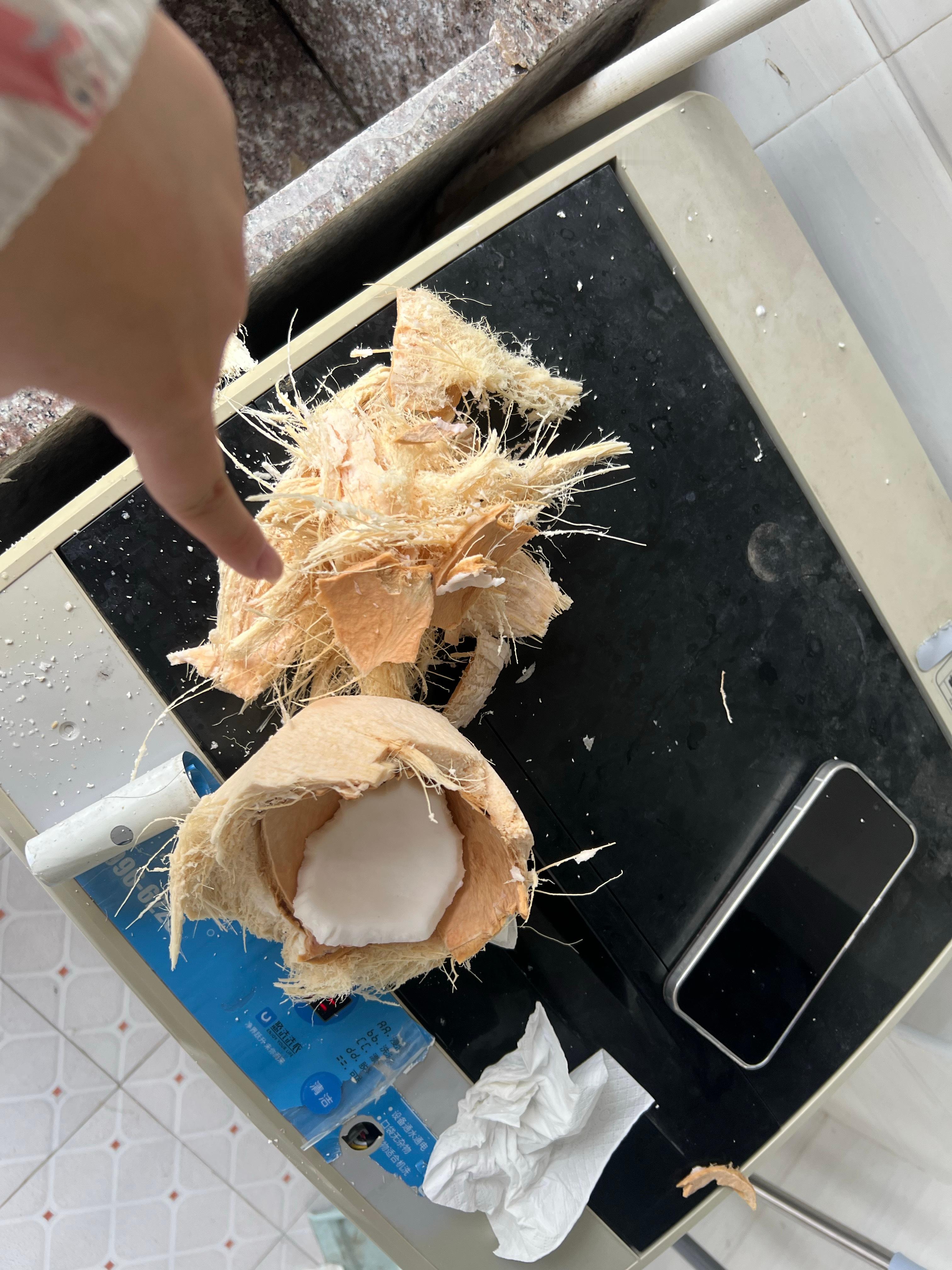 为了吃上椰子肉 