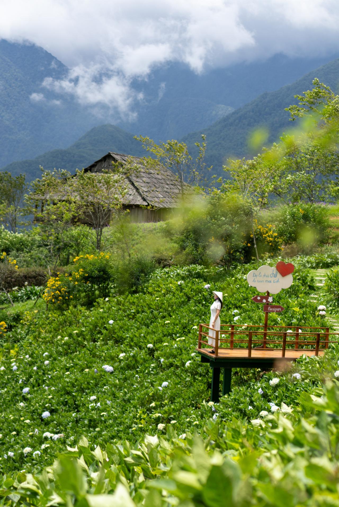 从番西邦峰下来，本来都是没有看到山顶的遗憾，不过在这个大花园，直接拍照基因觉醒！