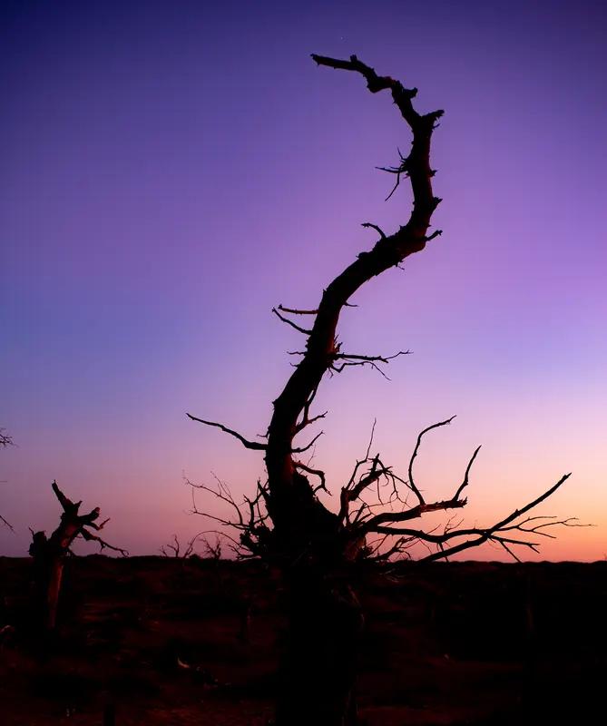 你知道什么事儿最让我破防吗？
一个缉毒警察，退休了，每天回家前，要先绕着小区走三